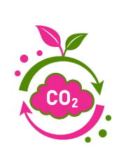 co2_evitados_rinnovata